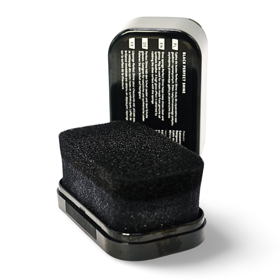 Leather Polishing (Kaps Perfect Shine)