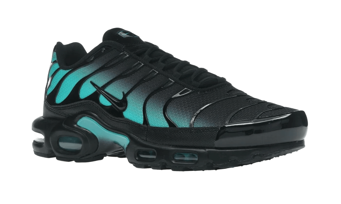 Nike Air Max Plus Black Dusty Cactus - DM0032-016
